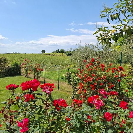 Villa Poggio Bardolino Bagian luar foto