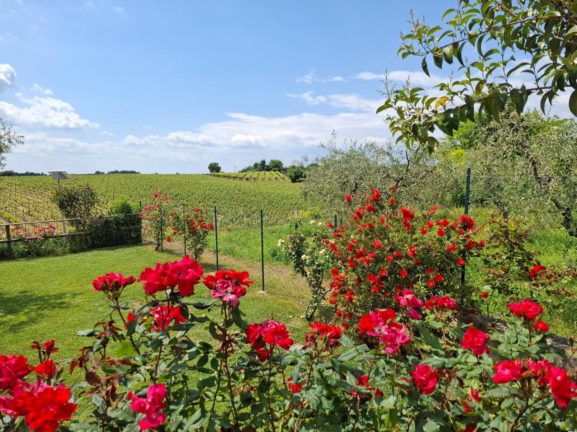 Villa Poggio Bardolino Bagian luar foto