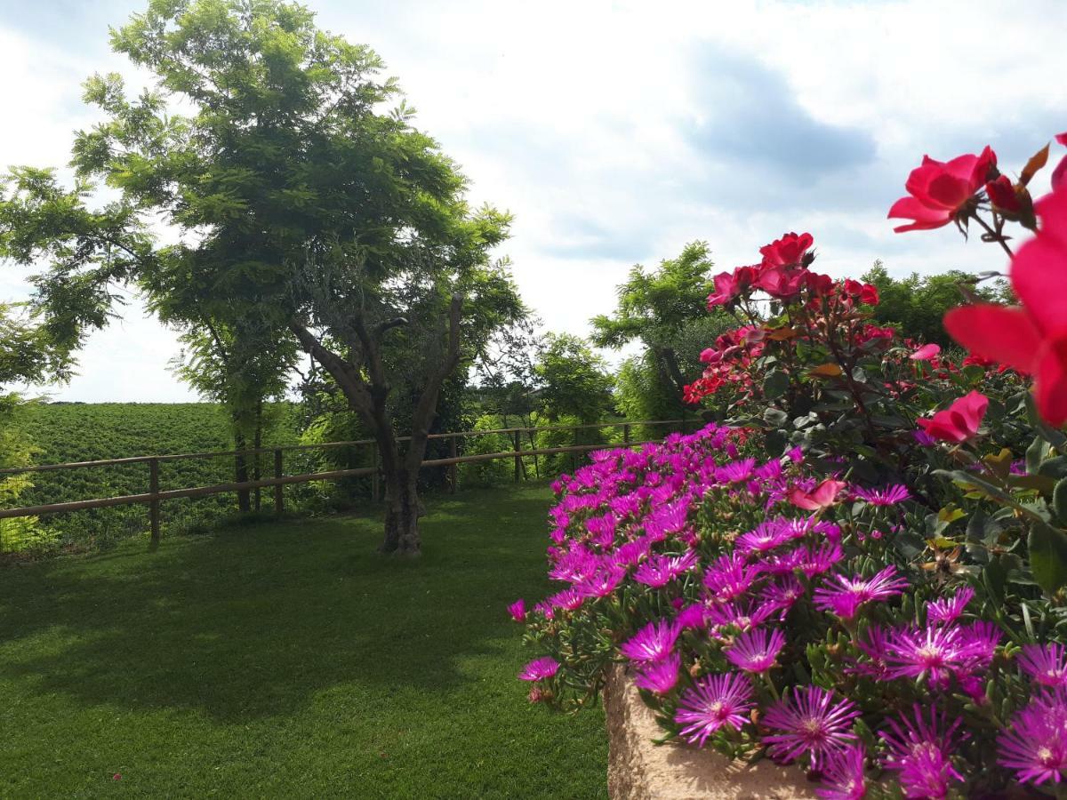 Villa Poggio Bardolino Bagian luar foto