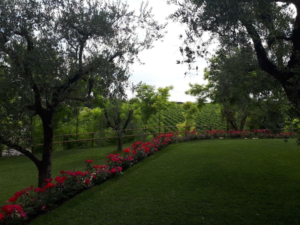 Villa Poggio Bardolino Bagian luar foto