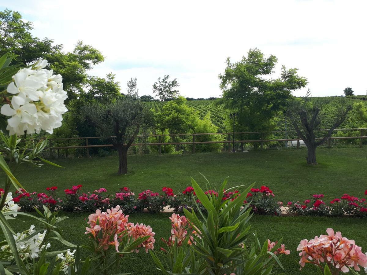 Villa Poggio Bardolino Bagian luar foto