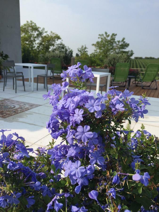 Villa Poggio Bardolino Bagian luar foto